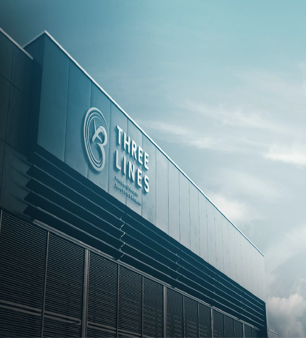 Three Lines Company Chief Executive Officer cover image